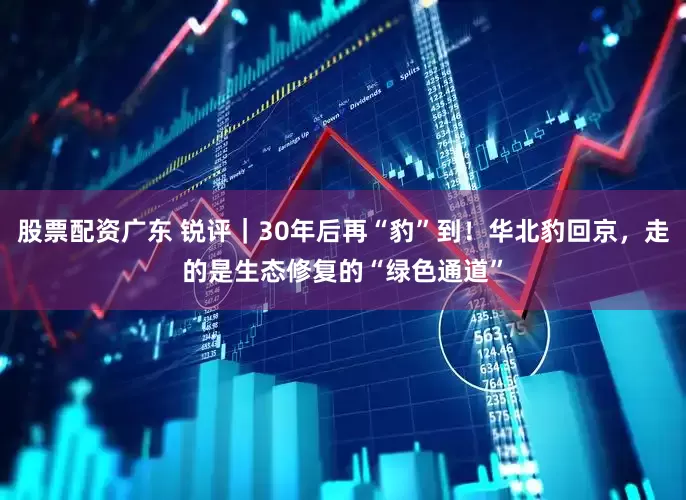 股票配资广东 锐评｜30年后再“豹”到！华北豹回京，走的是生态修复的“绿色通道”