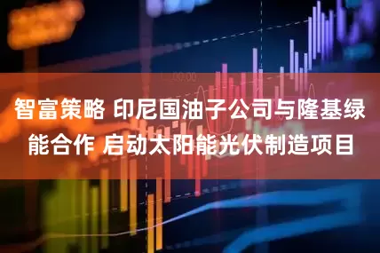 智富策略 印尼国油子公司与隆基绿能合作 启动太阳能光伏制造项目