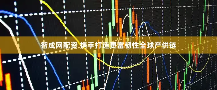 智成网配资 携手打造更富韧性全球产供链
