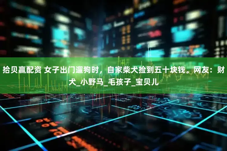 拾贝赢配资 女子出门遛狗时，自家柴犬捡到五十块钱。网友：财犬_小野马_毛孩子_宝贝儿
