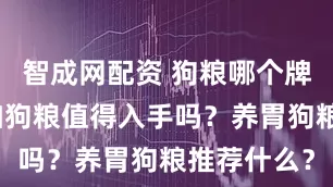 智成网配资 狗粮哪个牌子好？卫加狗粮值得入手吗？养胃狗粮推荐什么？