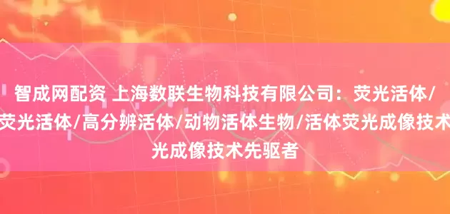 智成网配资 上海数联生物科技有限公司：荧光活体/近红外荧光活体/高分辨活体/动物活体生物/活体荧光成像技术先驱者
